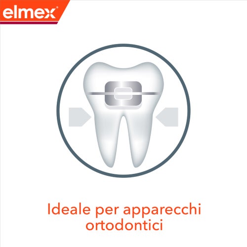 Dente con apparecchio ortodontico, ideale per chi porta dispositivi ortodontici