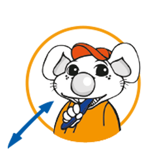 Superfici masticatorie