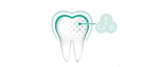 dente più sensibile